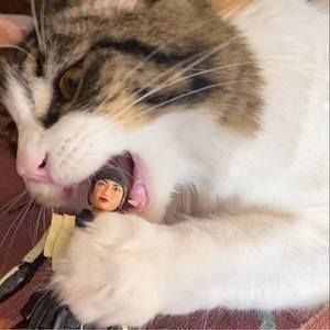 Meet your Posher, Ruka